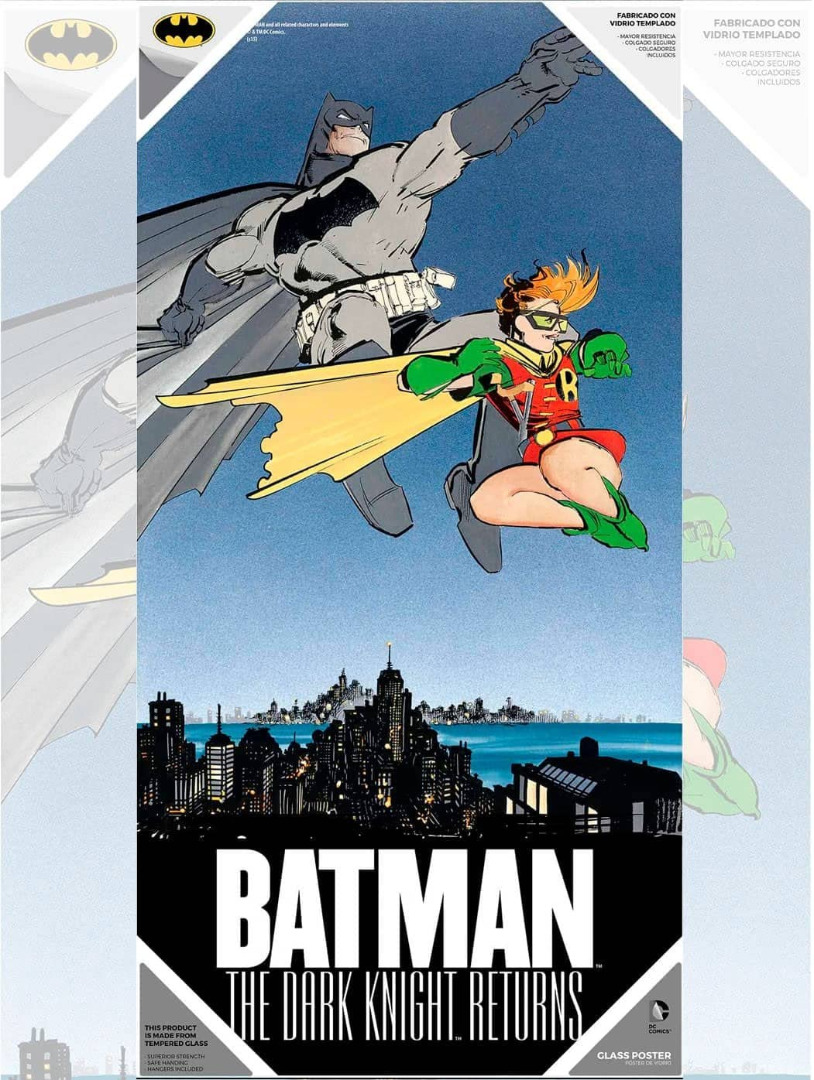 Batman and Robin Glass Poster The Dark Knight Returns 30 x 60 cm
