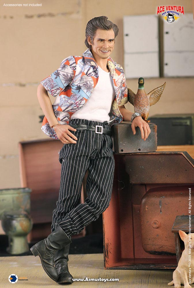 Ace Ventura Pet Detective: Ace Ventura 1:6 Scale Figure 
