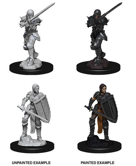 Dungeons and Dragons: Nolzurs Marvelous Miniatures Human Female Fighter