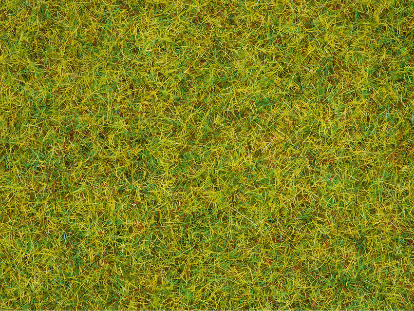 Noch Grass flock Summer meadow - Flocagem verde claro 2,5mm 20g