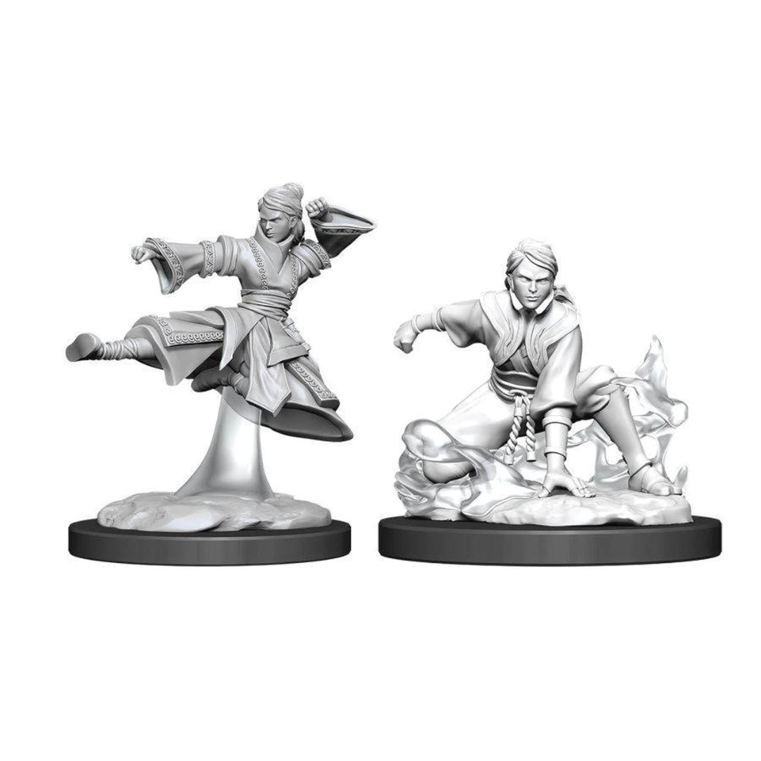 Dungeons and Dragons: Nolzur Marvelous Miniatures Human Female Monk