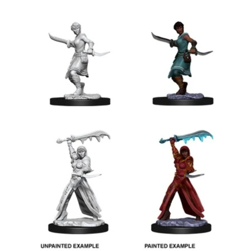 Dungeons and Dragons: Nolzur Marvelous Miniatures Human Female Rogue