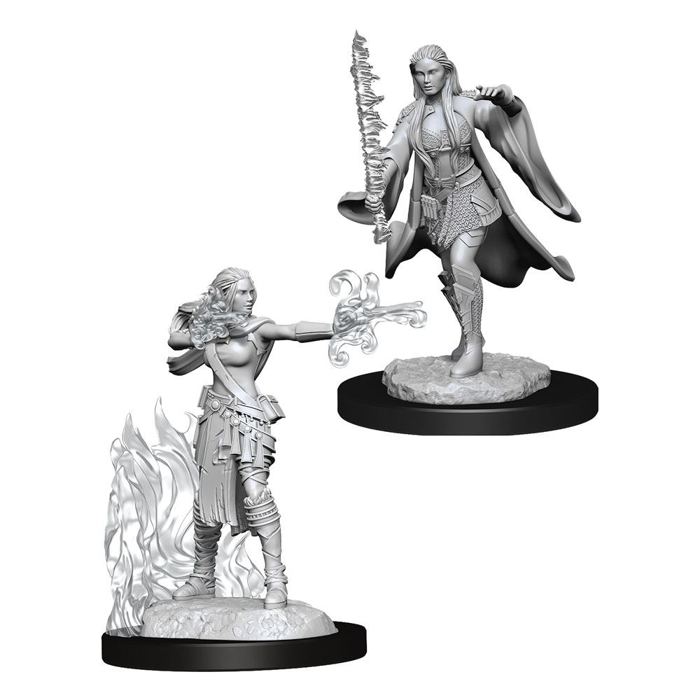 Dungeons and Dragons: Miniatures - Female Multiclass Warlock and Sorcerer 