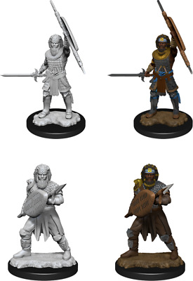 Dungeons and Dragons: Nolzur's Marvelous Miniatures - Human Male Fighter 