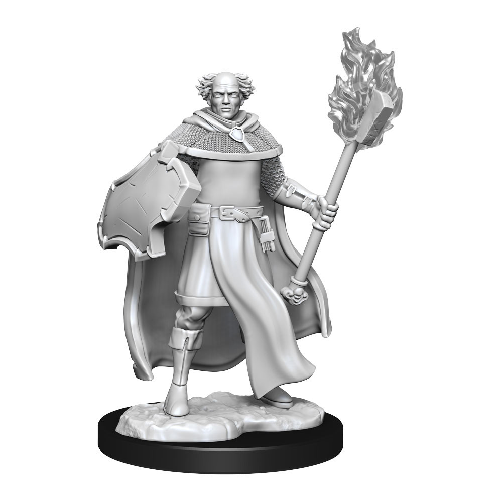 Dungeons and Dragons:Marvelous Miniatures - Male Multiclass Cleric + Wizard