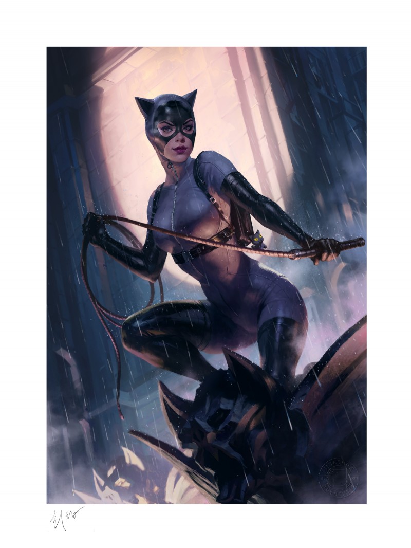 DC Comics: Catwoman Variant Unframed Art Print 