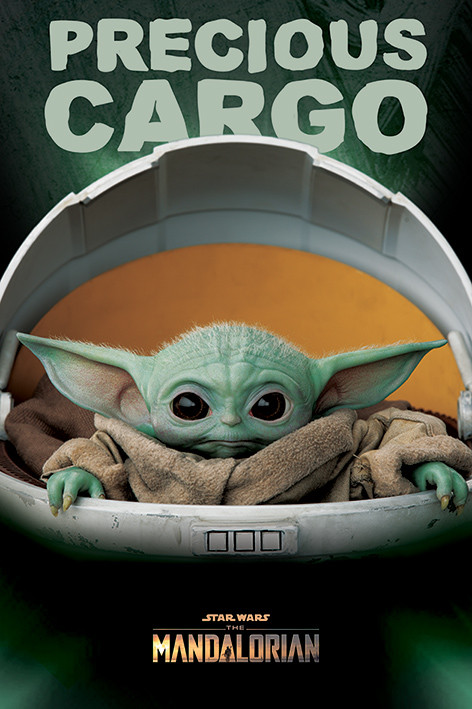 Star Wars: The Mandalorian - Precious Cargo 61 x 90 cm Poster 