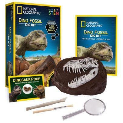 National Geographic - Dino Fossil Dig Kit 