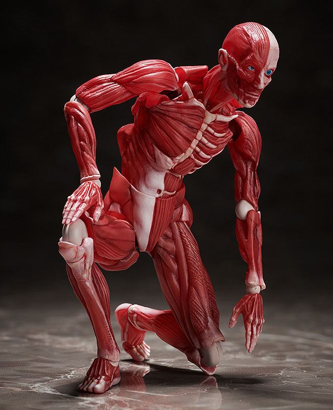 Original Character Figma Action Figure Human Anatomical Model 15 cm
