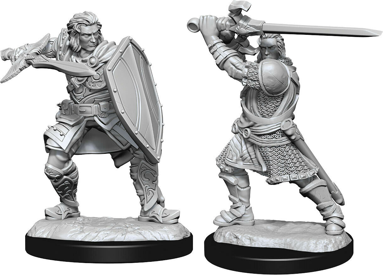 Dungeons and Dragons: Nolzur's Marvelous Minatures - Human Paladin Male 