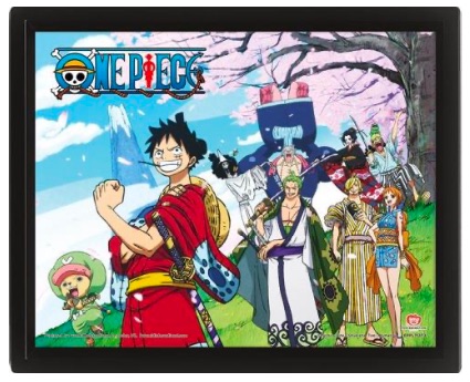 One Piece (Samurai Pirate Warriors) - Framed