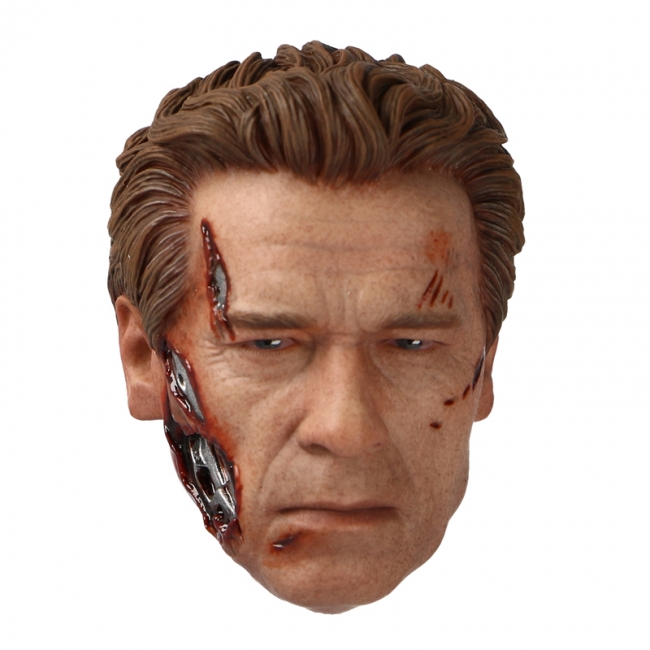 Battle Damaged Arnold Schwarzenegger Terminator Headsculpt (for 1/6 AF)