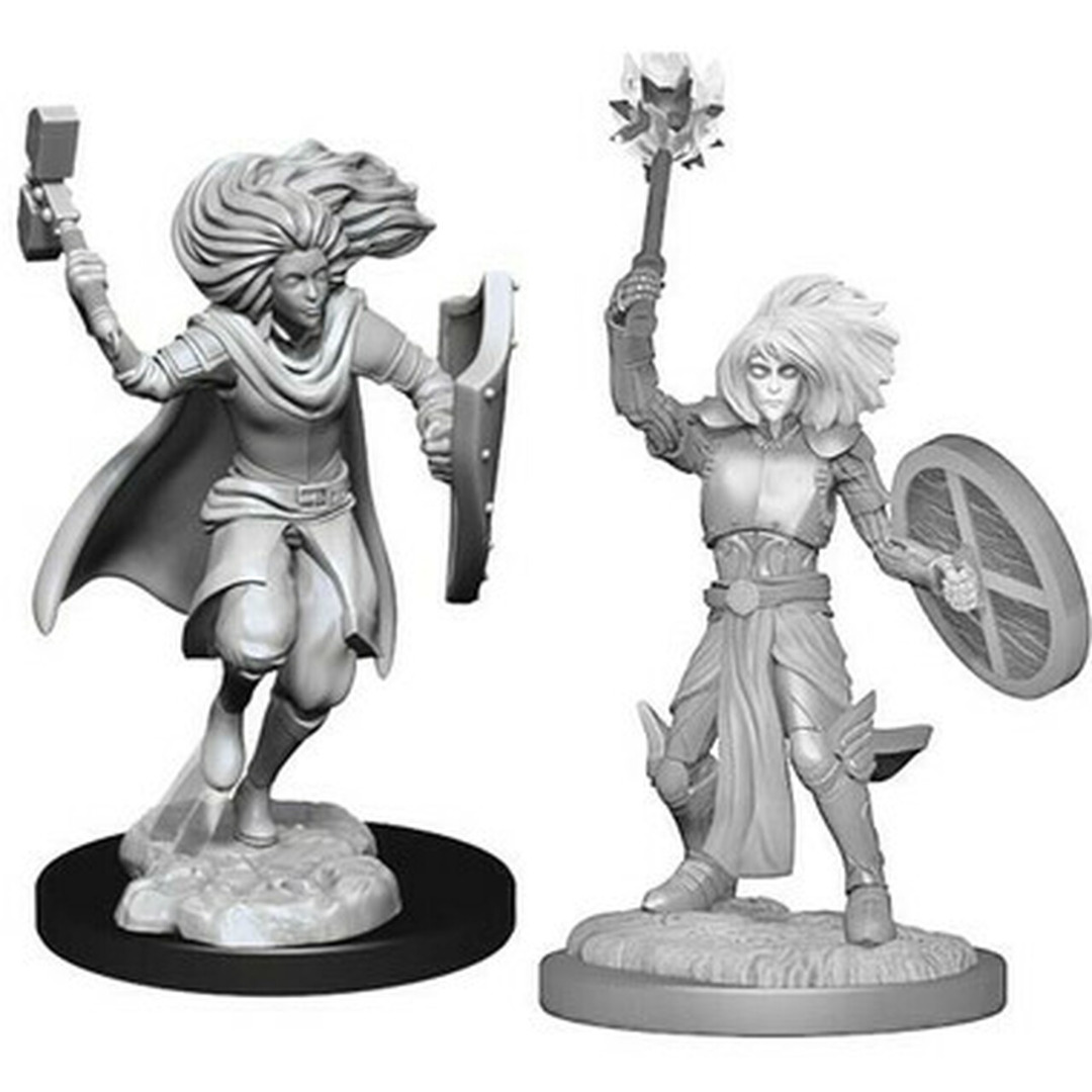Dungeons and Dragons: Nolzur's Marvelous Minatures - Changeling Cleric Male