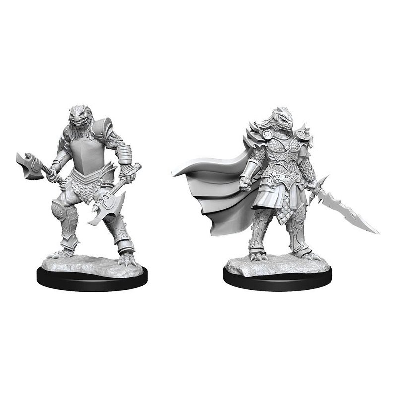 Dungeons and Dragons: Marvelous Miniatures - Female Dragonborn Fighter 