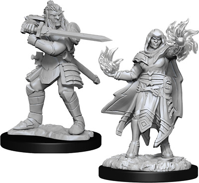 Dungeons and Dragons: Miniatures Male Hobgoblin Fighter and Female Wizard 