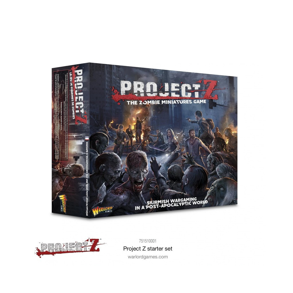 Project Z: Starter Game (English)