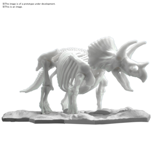 Dinosaur - Dinosaur Model Kit Limex Skeleton Triceratops