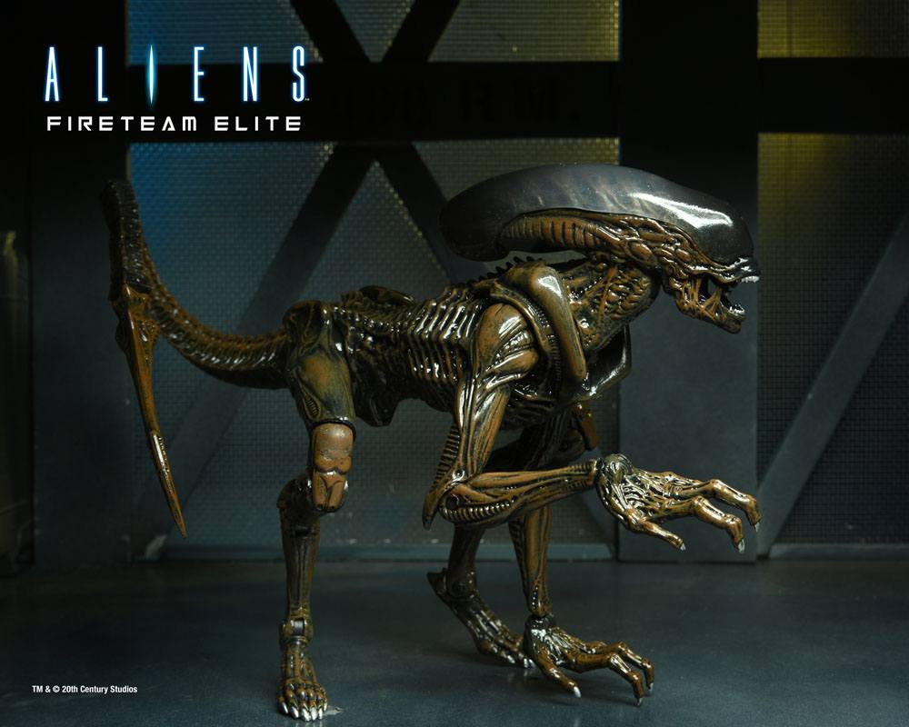 Action Figure Aliens: Fireteam Elite Series 1 Runner Alien 23 cm