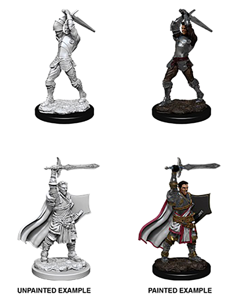 Dungeons and Dragons: Nolzur's Marvelous Miniatures - Male Human Paladin 