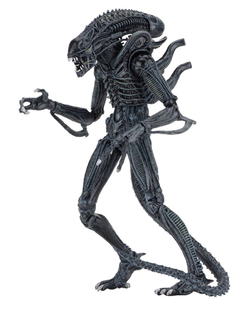 Aliens Action Figure Ultimate Warrior Blue 23 cm