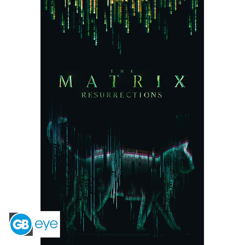 THE MATRIX - Poster Cat (91.5x61)