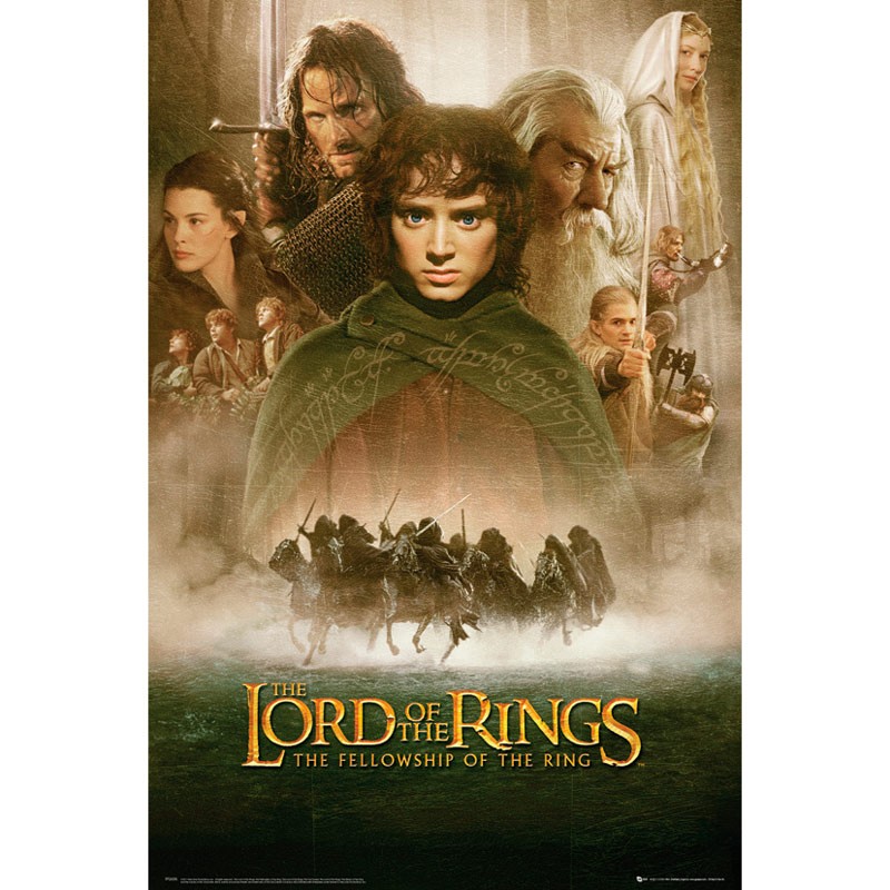 LORD OF THE RINGS - Poster Fellowship Of The Ring (91.5x61)