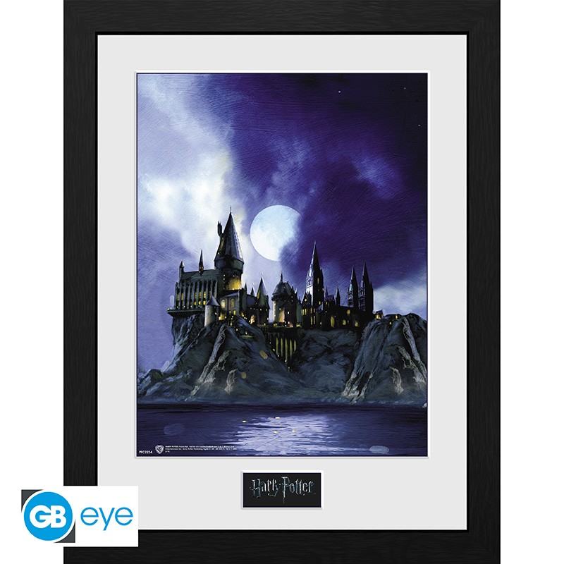 HARRY POTTER - Framed print Hogwarts Painted (30x40)