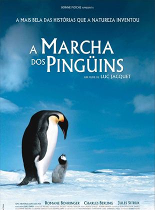 A Marcha dos Pinguins - DVD (Seminovo)