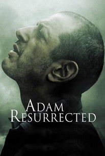 Adam Renascido - DVD (Novo)