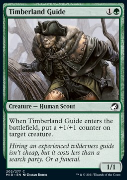 Single Magic The Gathering Timberland Guide (202 Innistrad: Midnight Hunt)