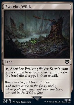 Single Magic The Gathering Evolving Wilds (Lord of the Rigs-306) - English