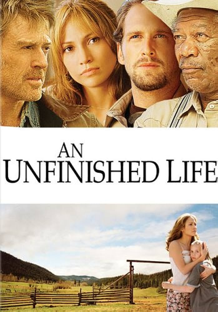 Uma Vida Inacabada - DVD (Novo)