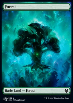 Single Magic The Gathering Forest (THB-254) - English