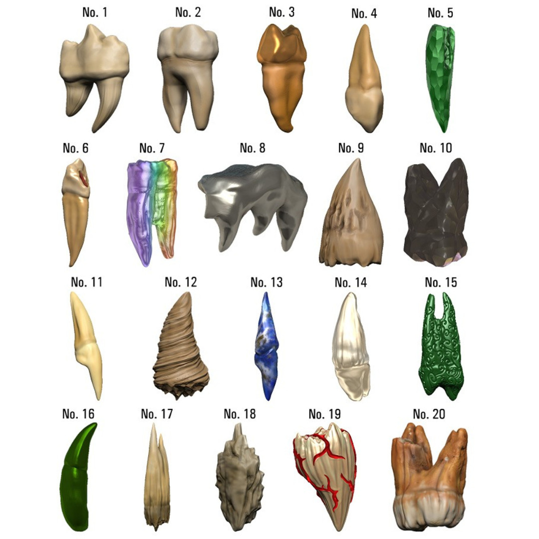 D&D Replicas of the Realms: Teeth of Dahlver-Nar Artifact
