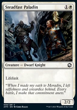 Single Magic The Gathering Steadfast Paladin (AFR-038) Foil - English